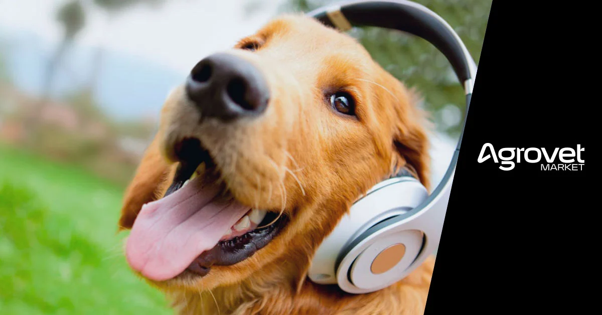 cuáles son los sonidos que les gustan a los perros