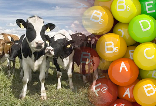 Las vitaminas para animales son esenciales para su desarrollo y bienestar, desempeñando un papel crucial en funciones vitales como el crecimiento, la reproducción y la inmunidad.
