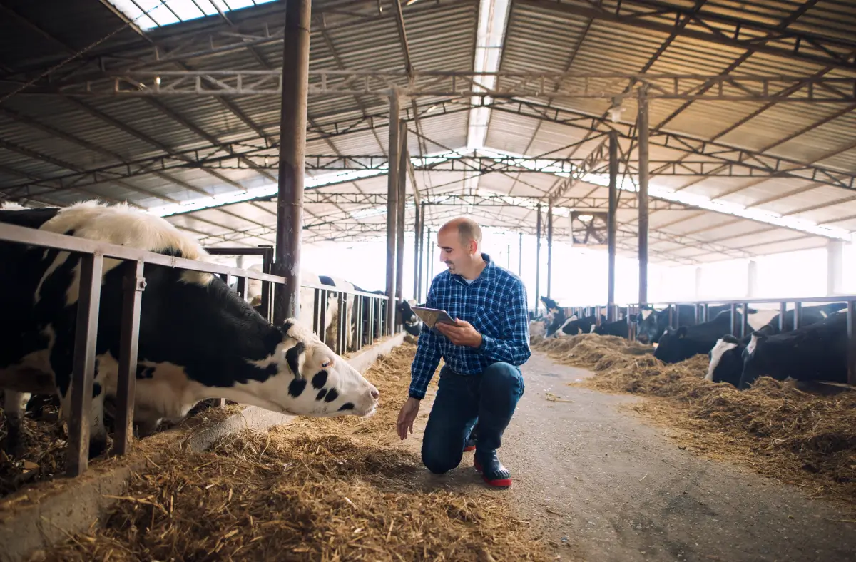 Granja estableciendo protocolos de desinfectantes veterinarios.