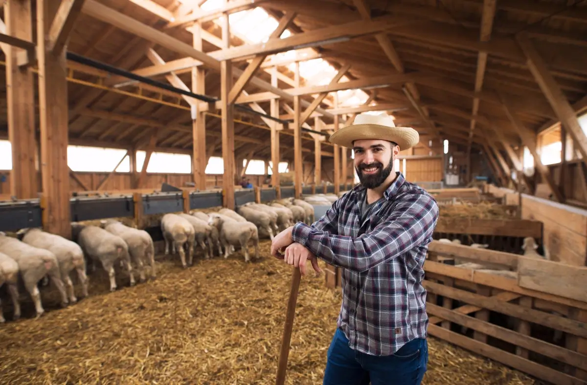 Dueño de granja que se preocupa por el bienestar animal